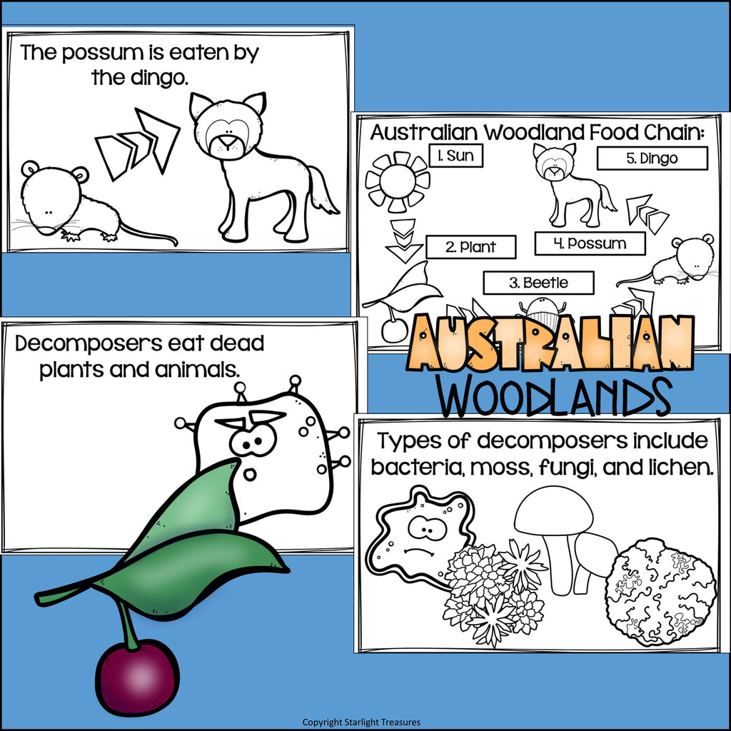 Australian Woodlands Chain Mini Book for Early Readers - Food Chains