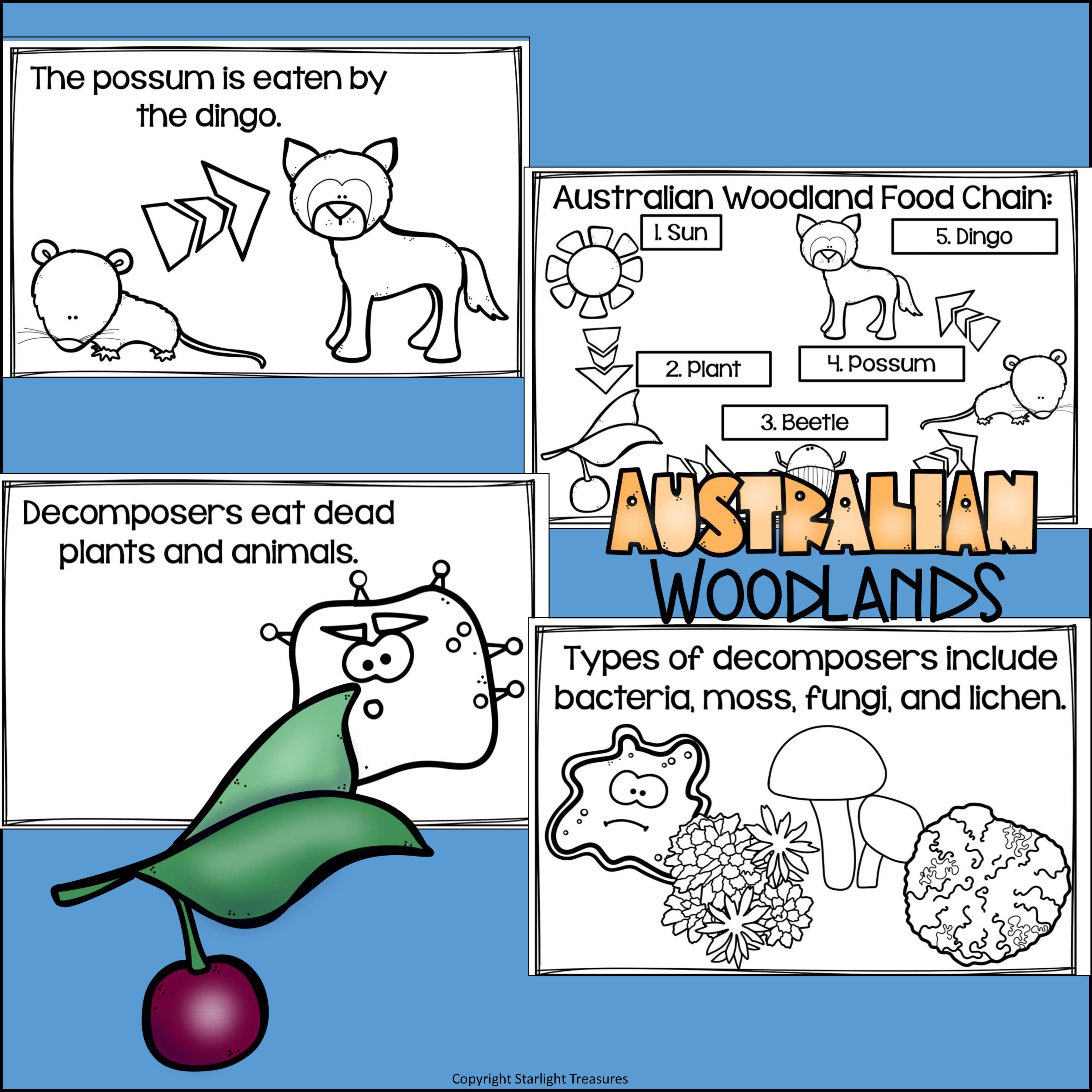 Australian Woodlands Chain Mini Book for Early Readers - Food Chains