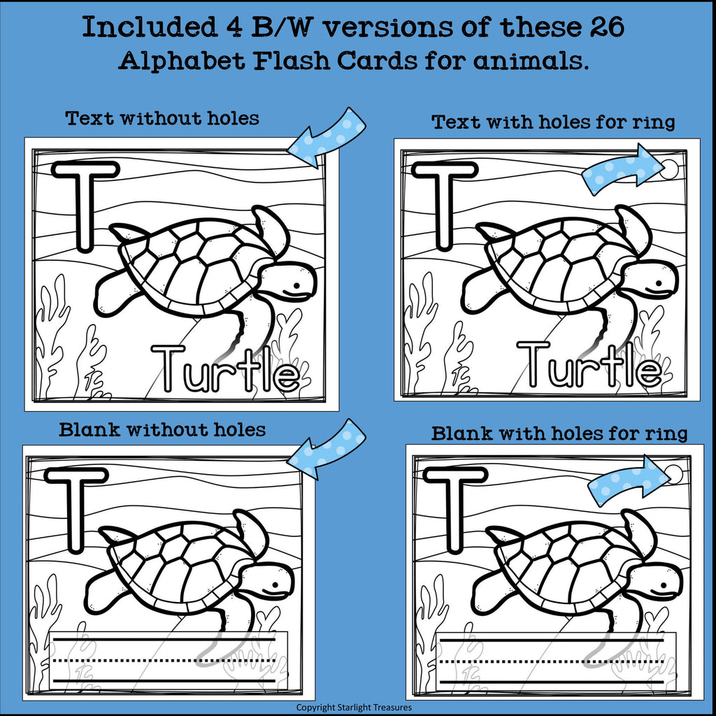 Animal Flash Cards
