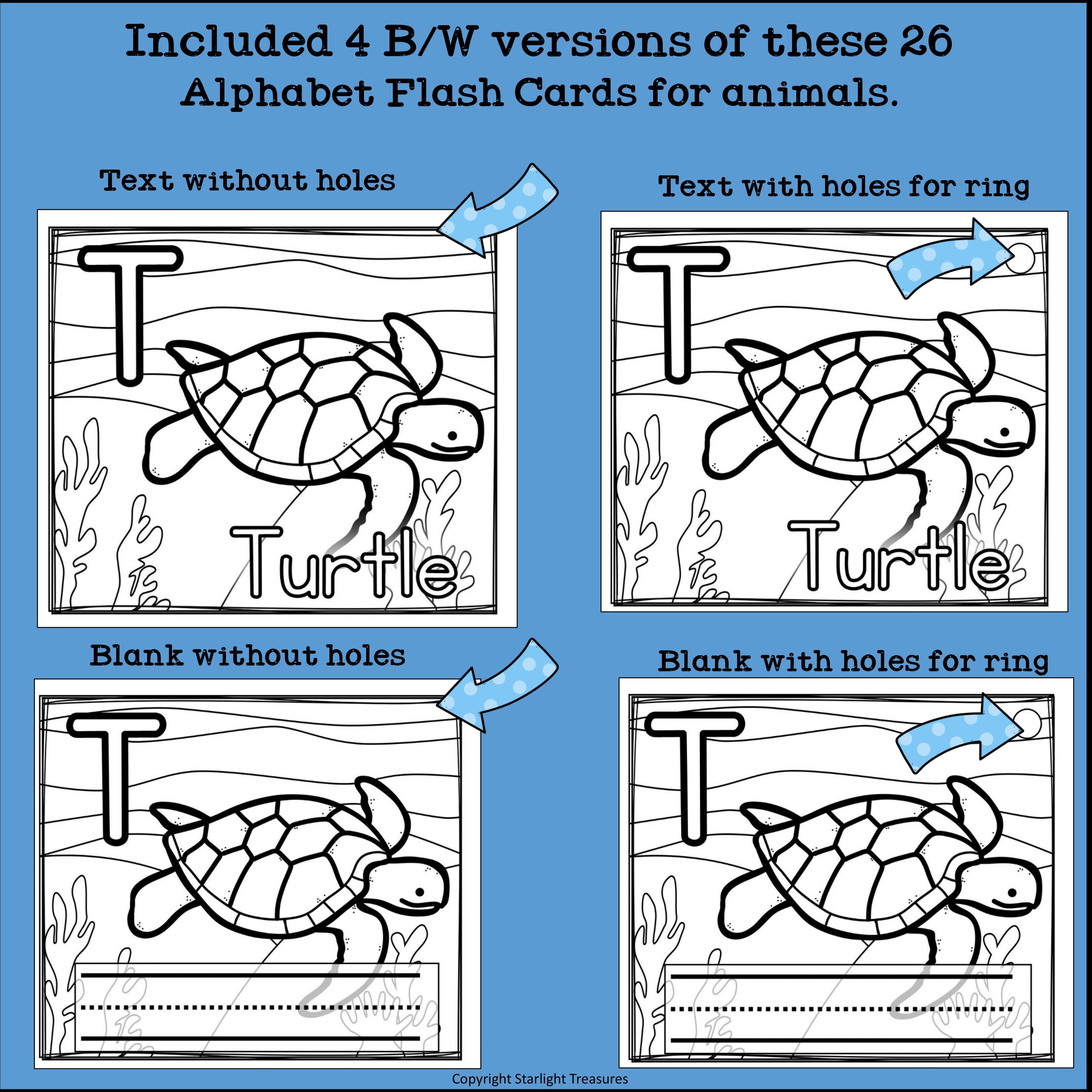 Animal Flash Cards
