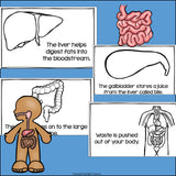 Human Body Systems: Digestive System Mini Book for Early Readers