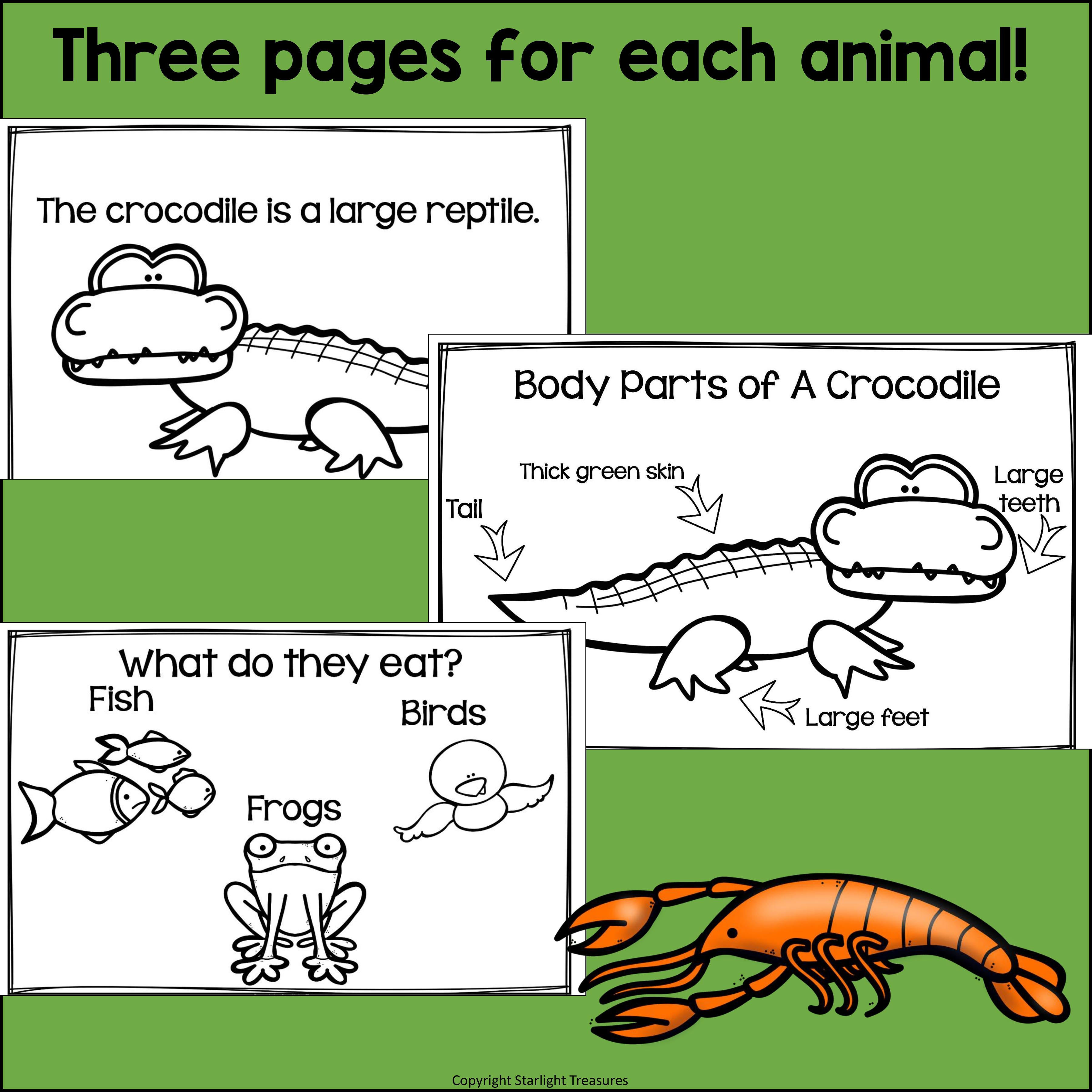 The Swamp Mini Book for Early Readers: Swamp Animals