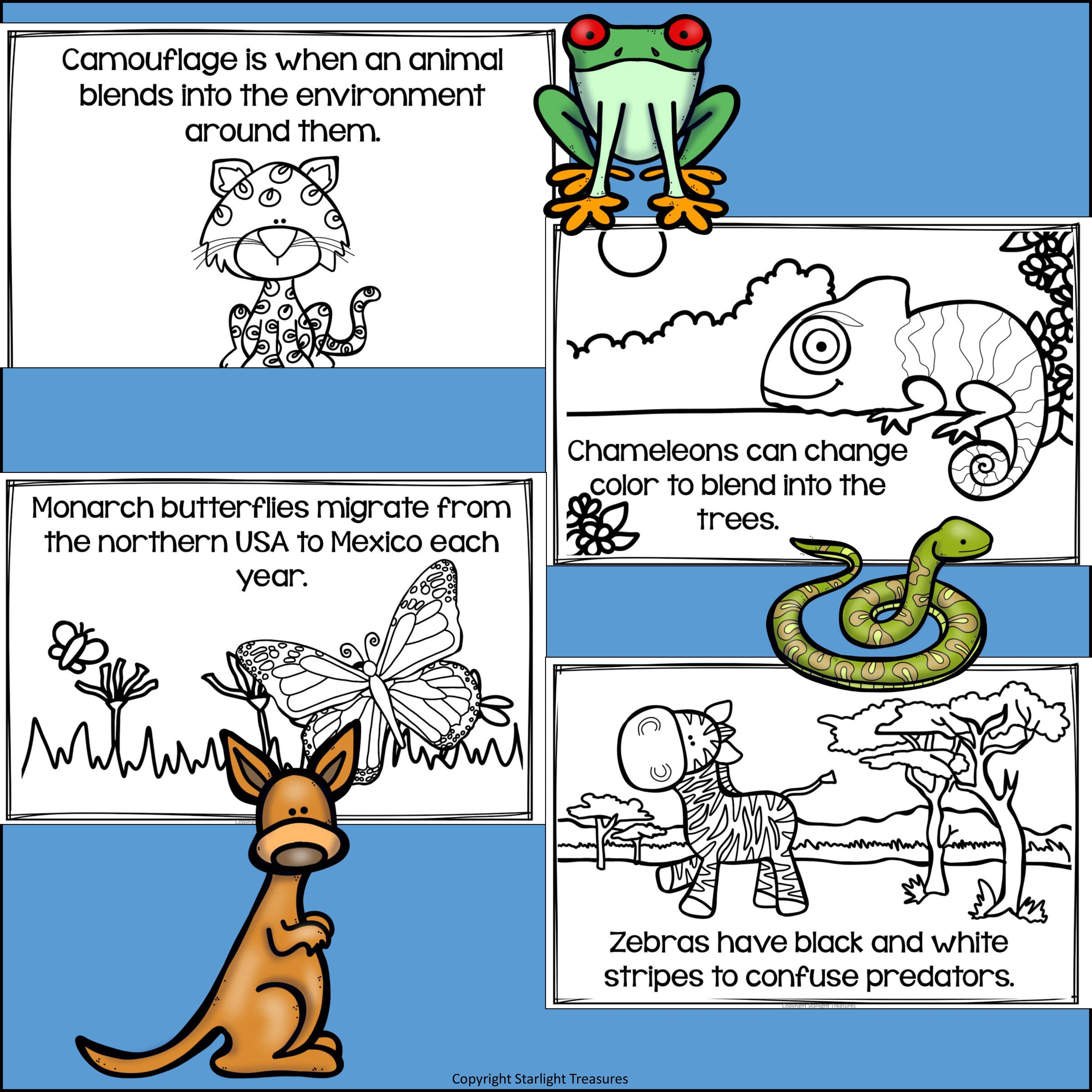 Animal Adaptations Mini Book for Early Readers
