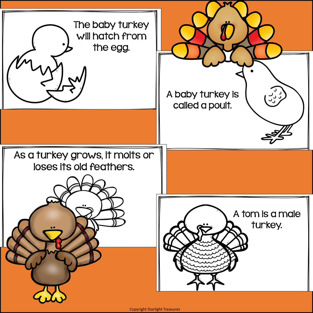 Turkeys Mini Book for Early Readers