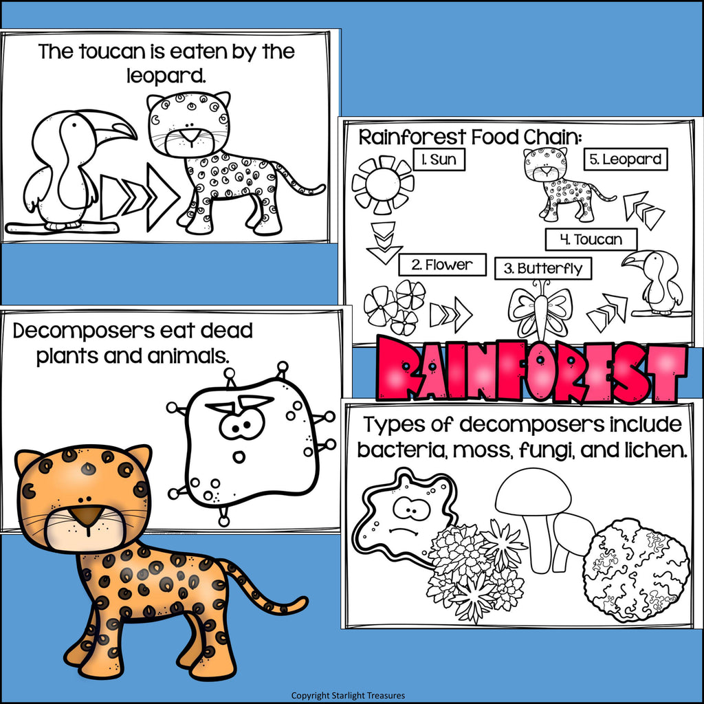 Rainforest Food Chain Mini Book for Early Readers - Food Chains