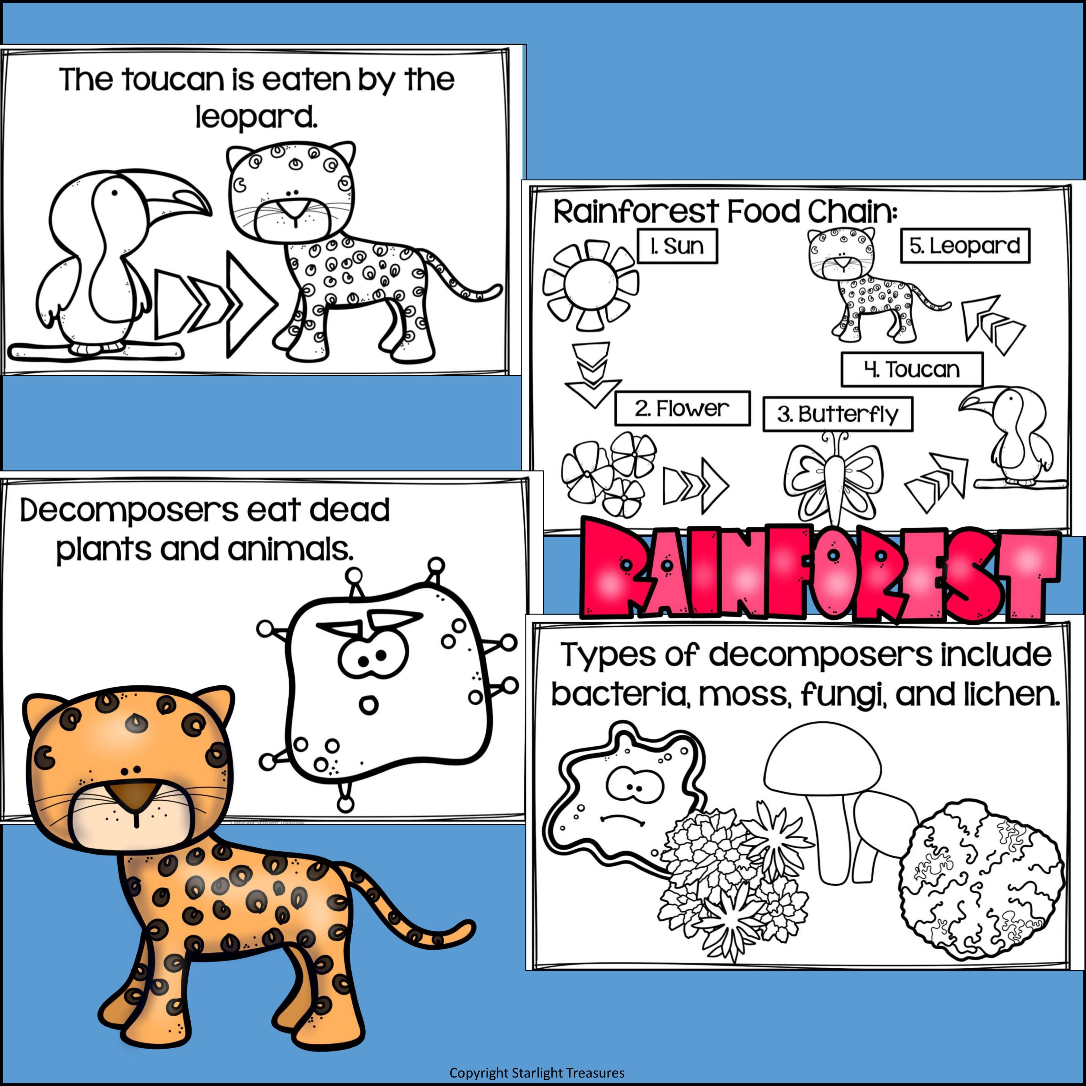 Rainforest Food Chain Mini Book for Early Readers - Food Chains