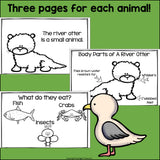 The Marsh Mini Book for Early Readers: Marsh Animals