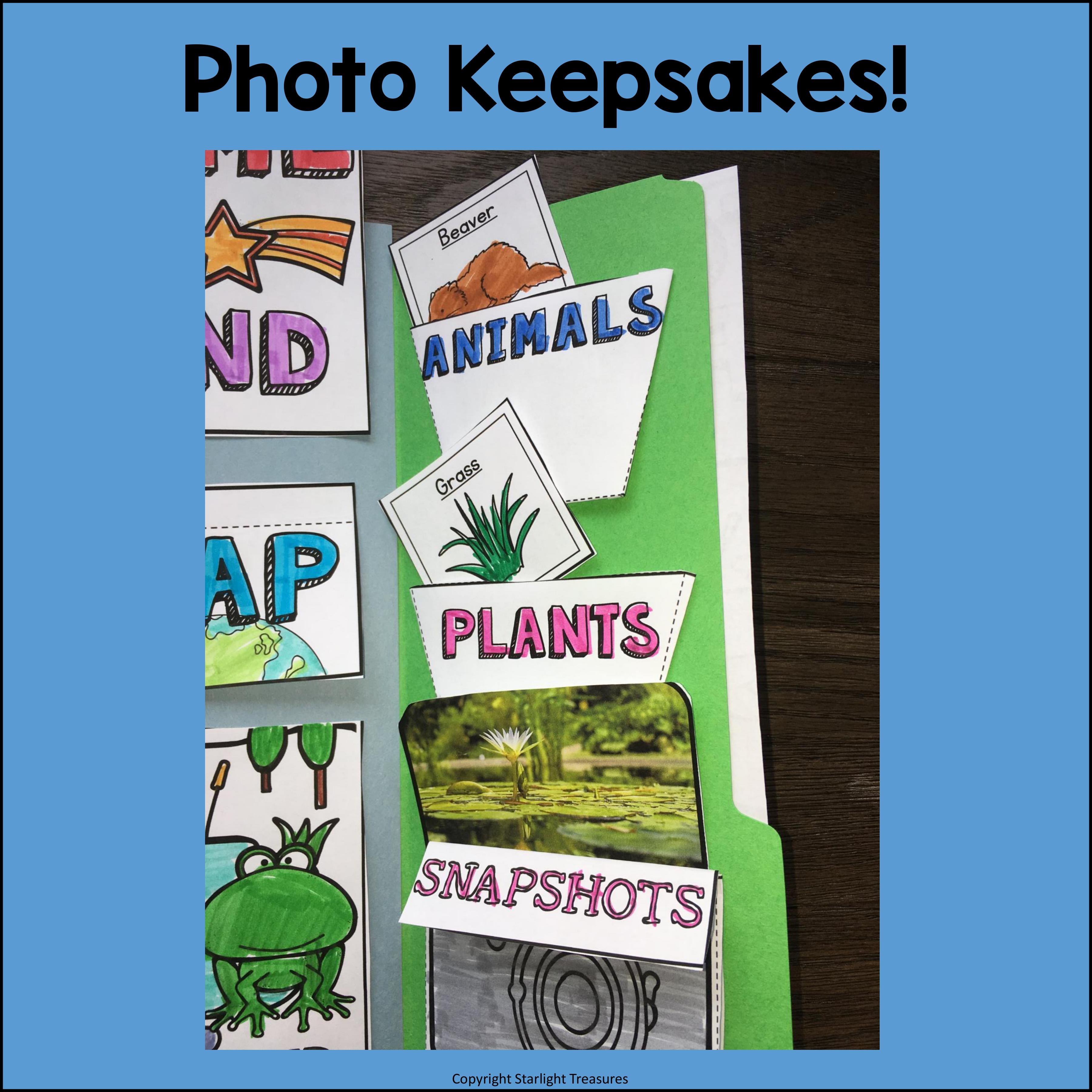 Pond Lapbook for Early Learners - Animal Habitats