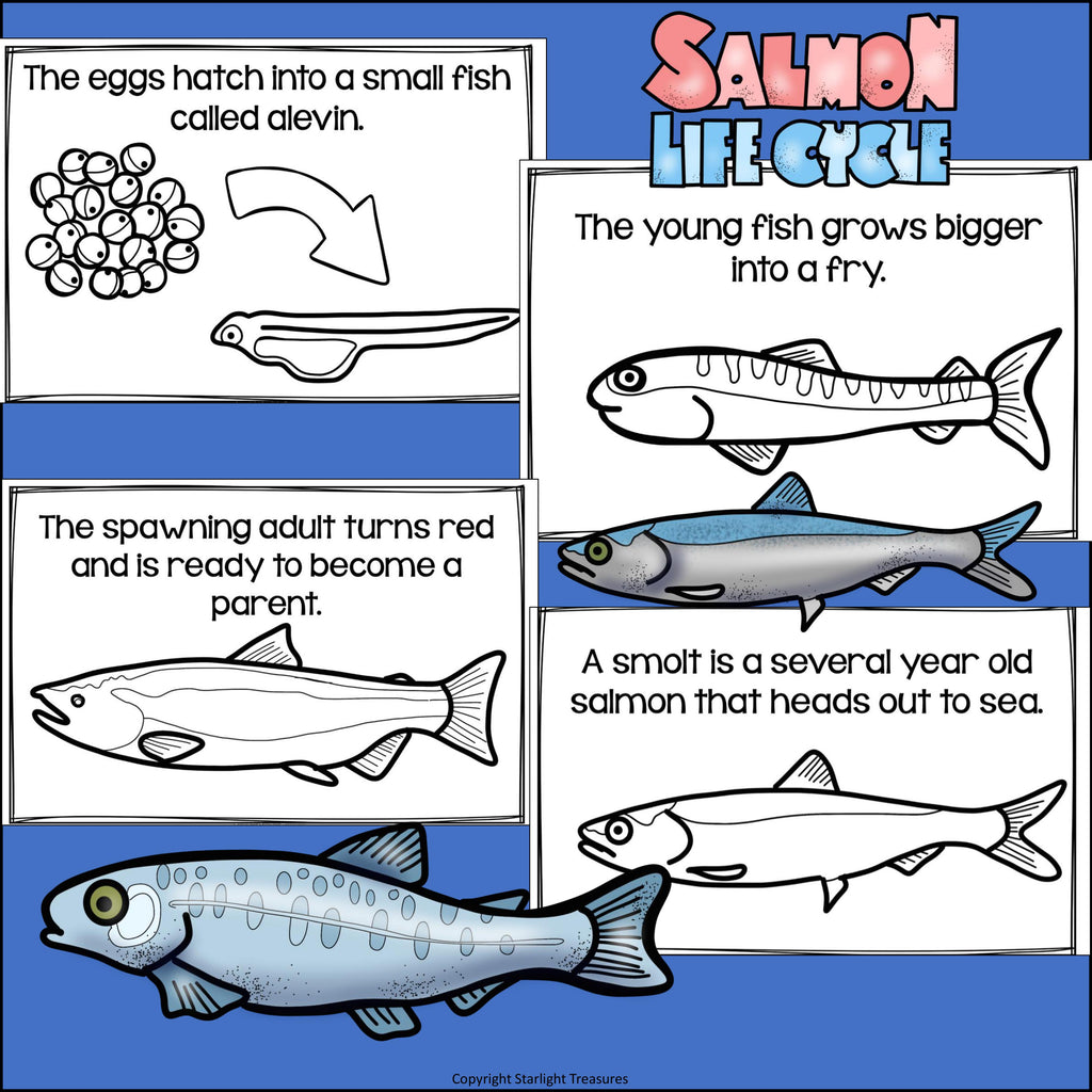 Salmon Mini Book for Early Readers