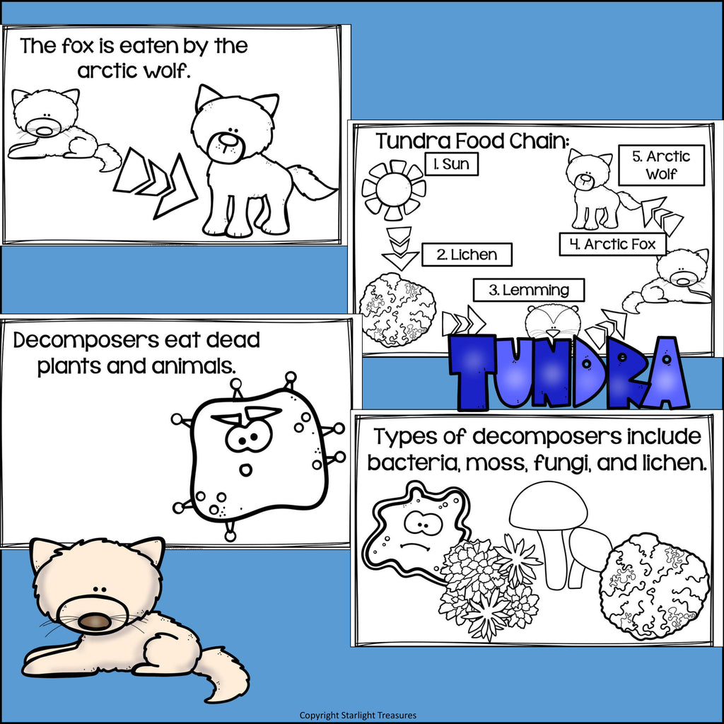Tundra Food Chain Mini Book for Early Readers - Food Chains