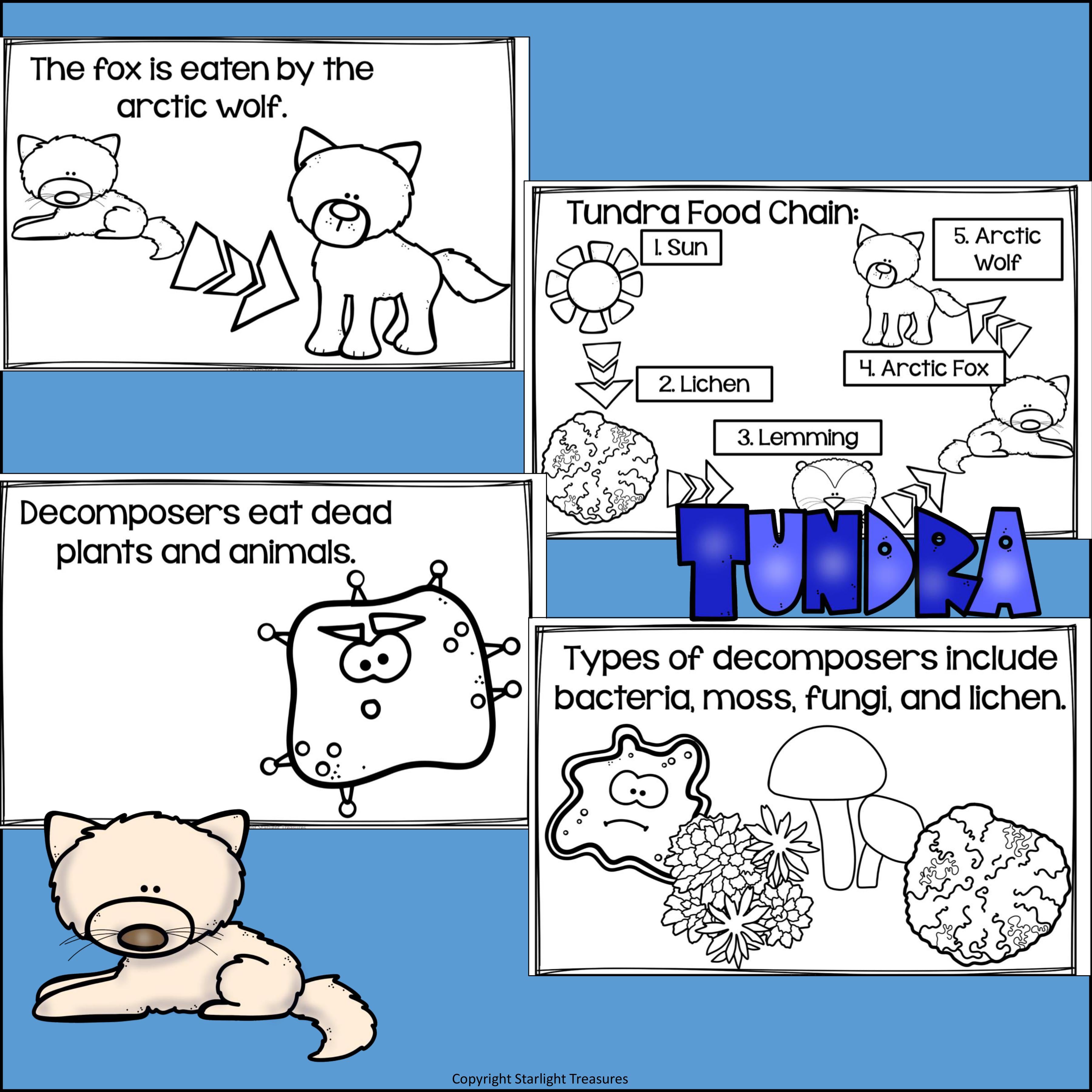 Tundra Food Chain Mini Book for Early Readers - Food Chains