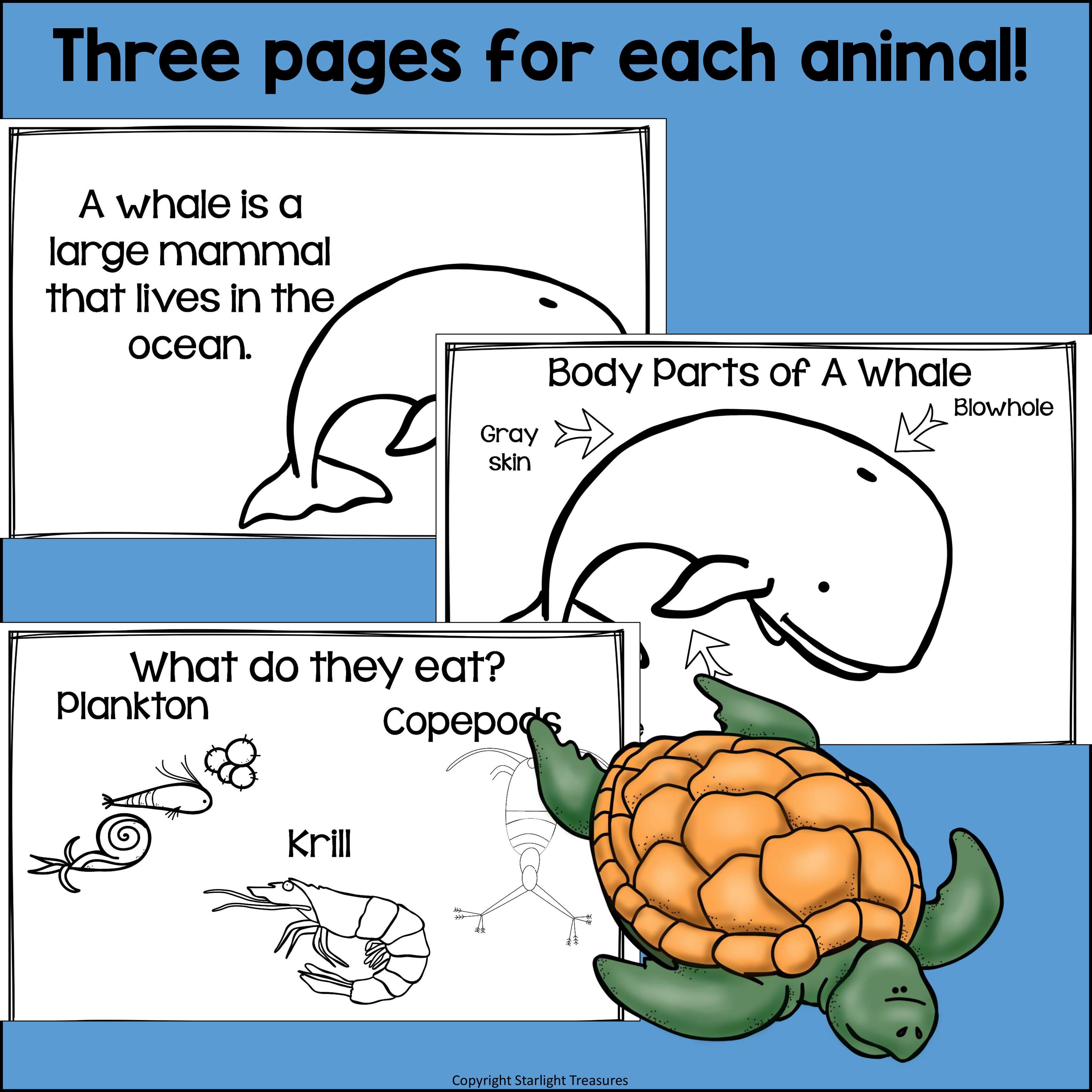 The Ocean Mini Book for Early Readers: Ocean Animals
