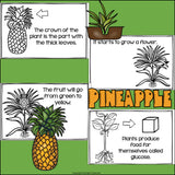 Pineapples Mini Book for Early Readers