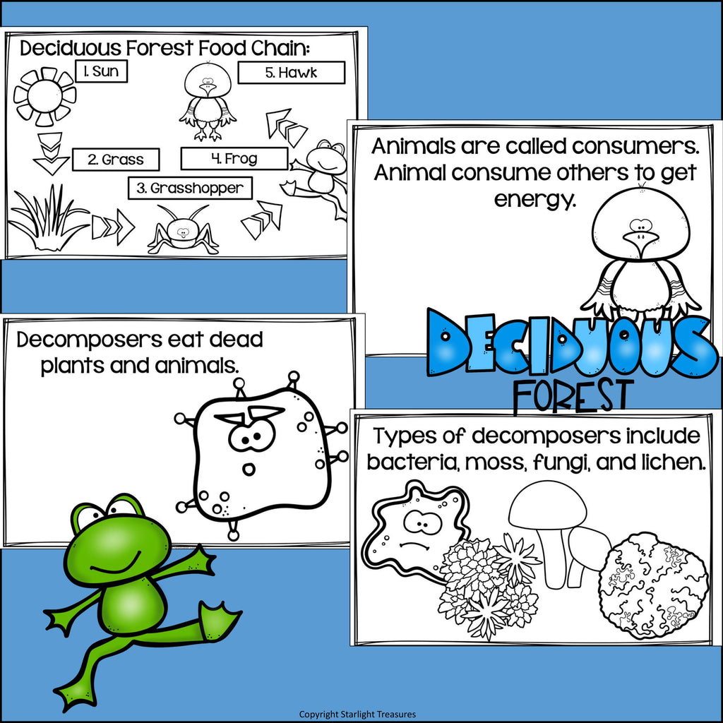 Deciduous Forest Food Chain Mini Book for Early Readers - Food Chains