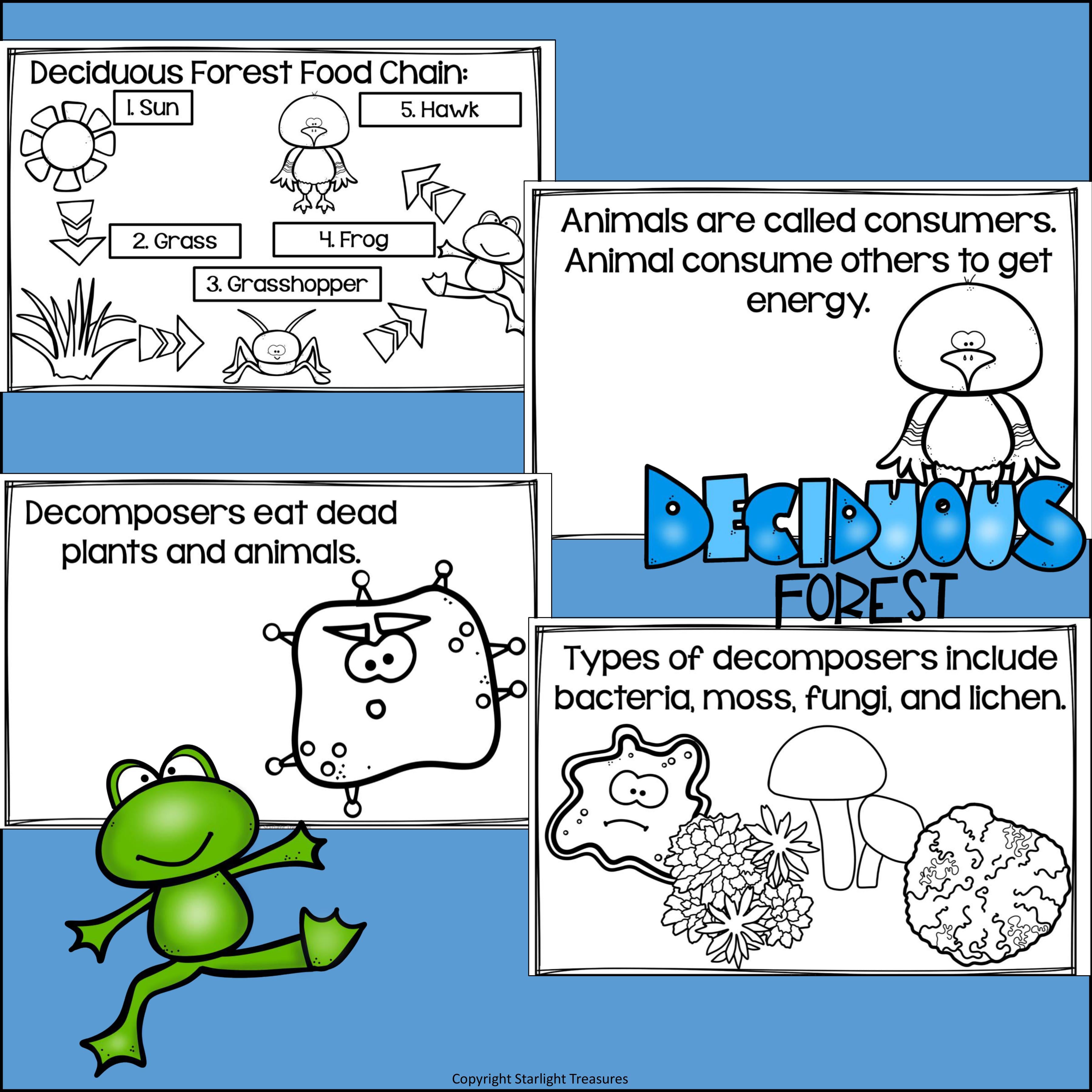 Deciduous Forest Food Chain Mini Book for Early Readers - Food Chains