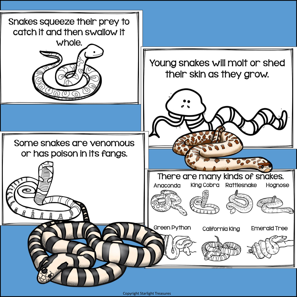 Snakes Mini Book for Early Readers