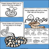 Snakes Mini Book for Early Readers