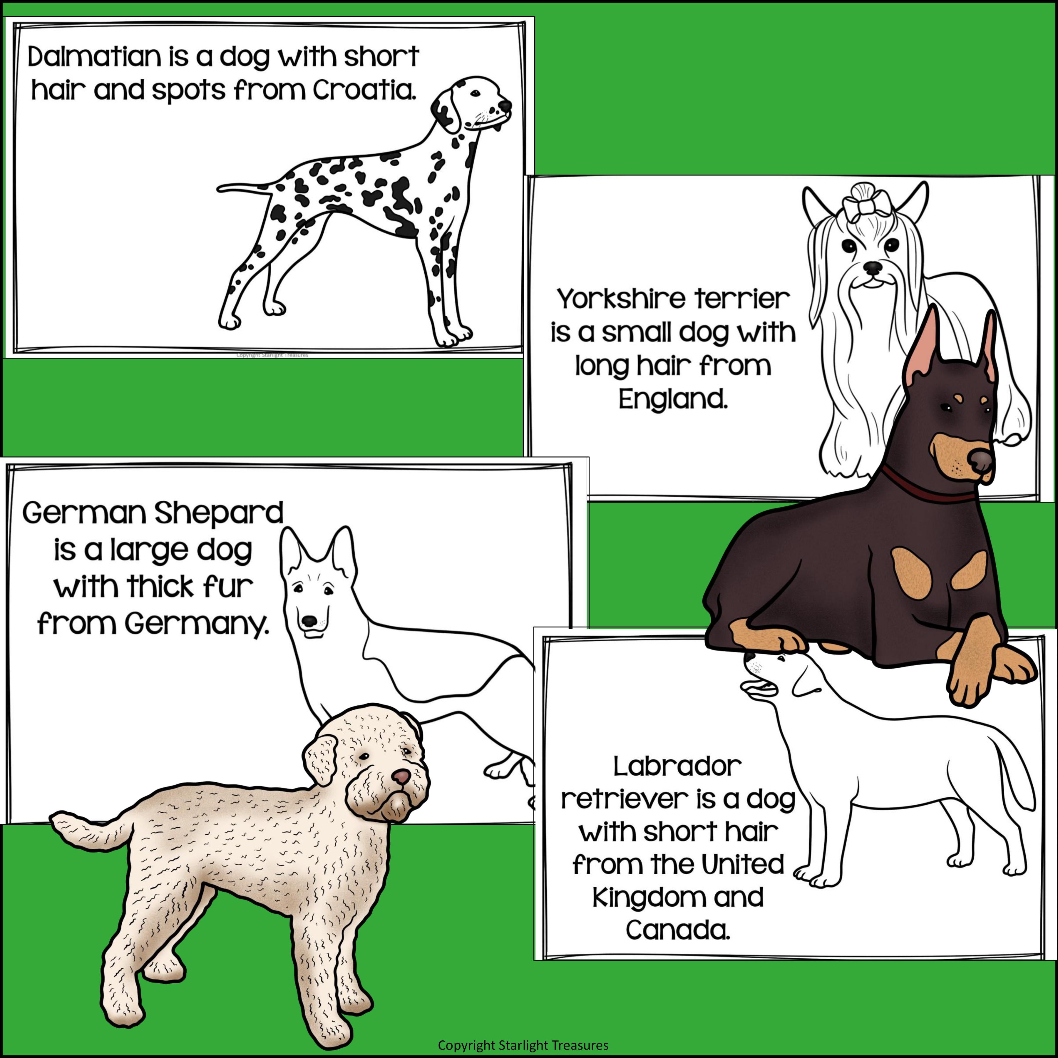 Dogs Mini Book for Early Readers