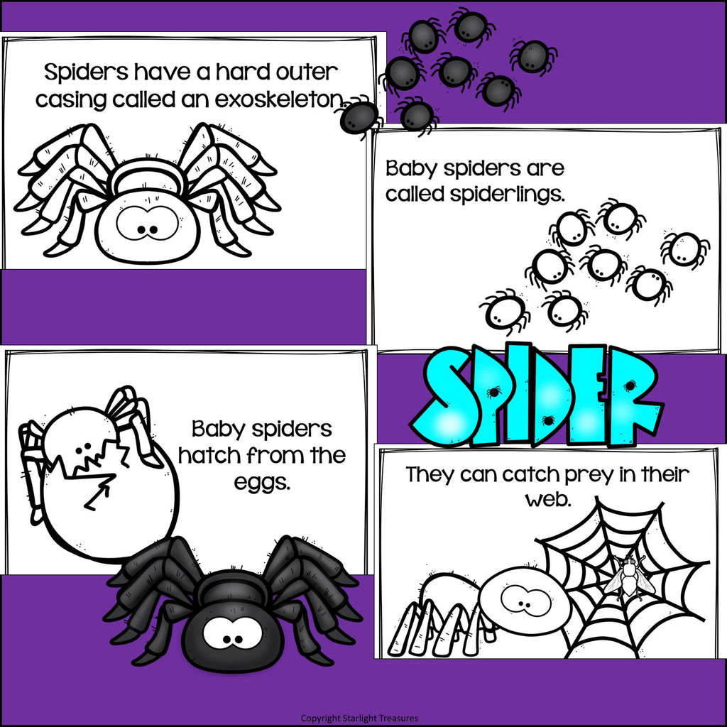 Spiders Mini Book for Early Readers