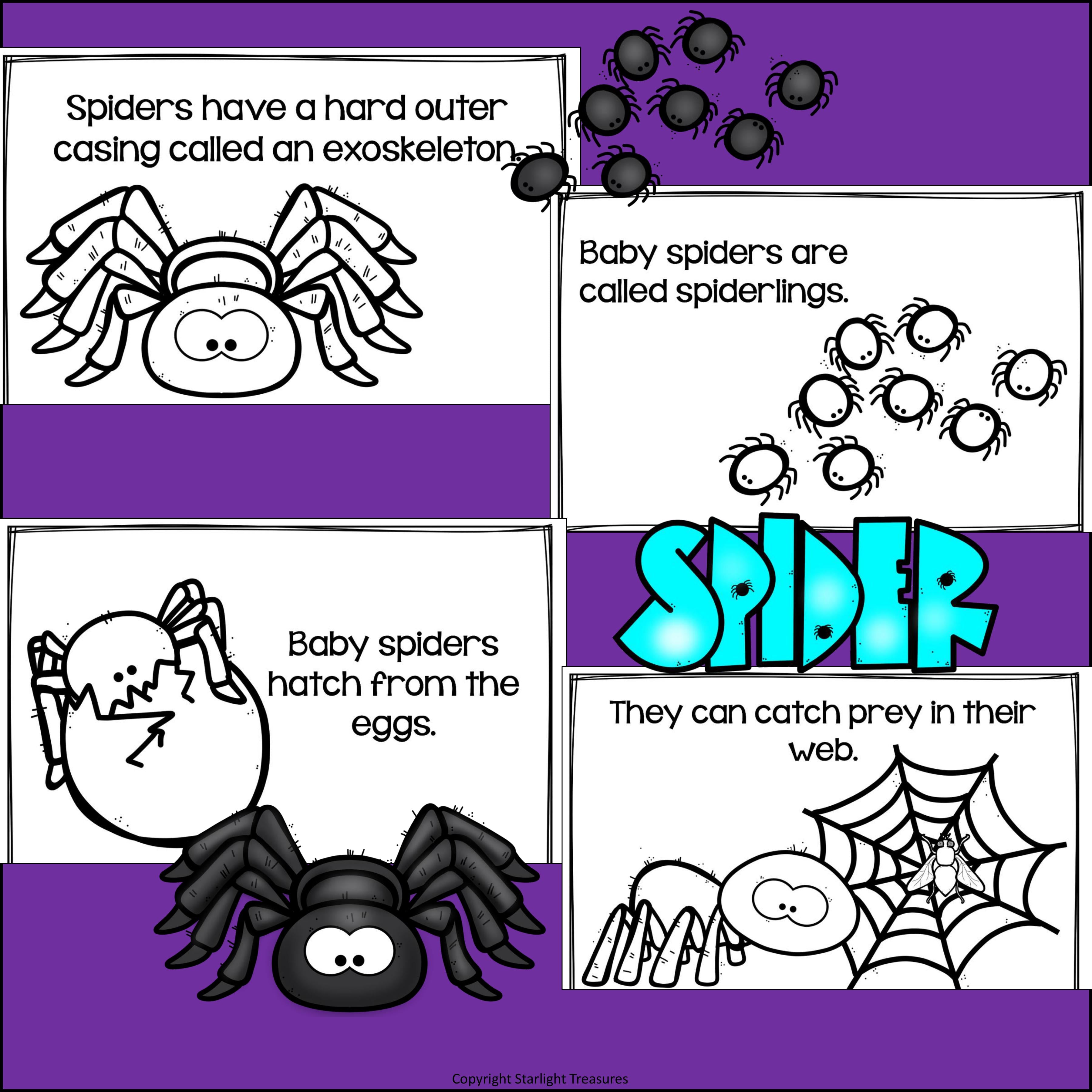 Spiders Mini Book for Early Readers