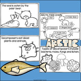 Arctic Food Chain Mini Book for Early Reader