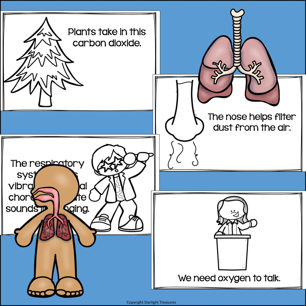 Human Body Systems: Respiratory System Mini Book for Early Readers