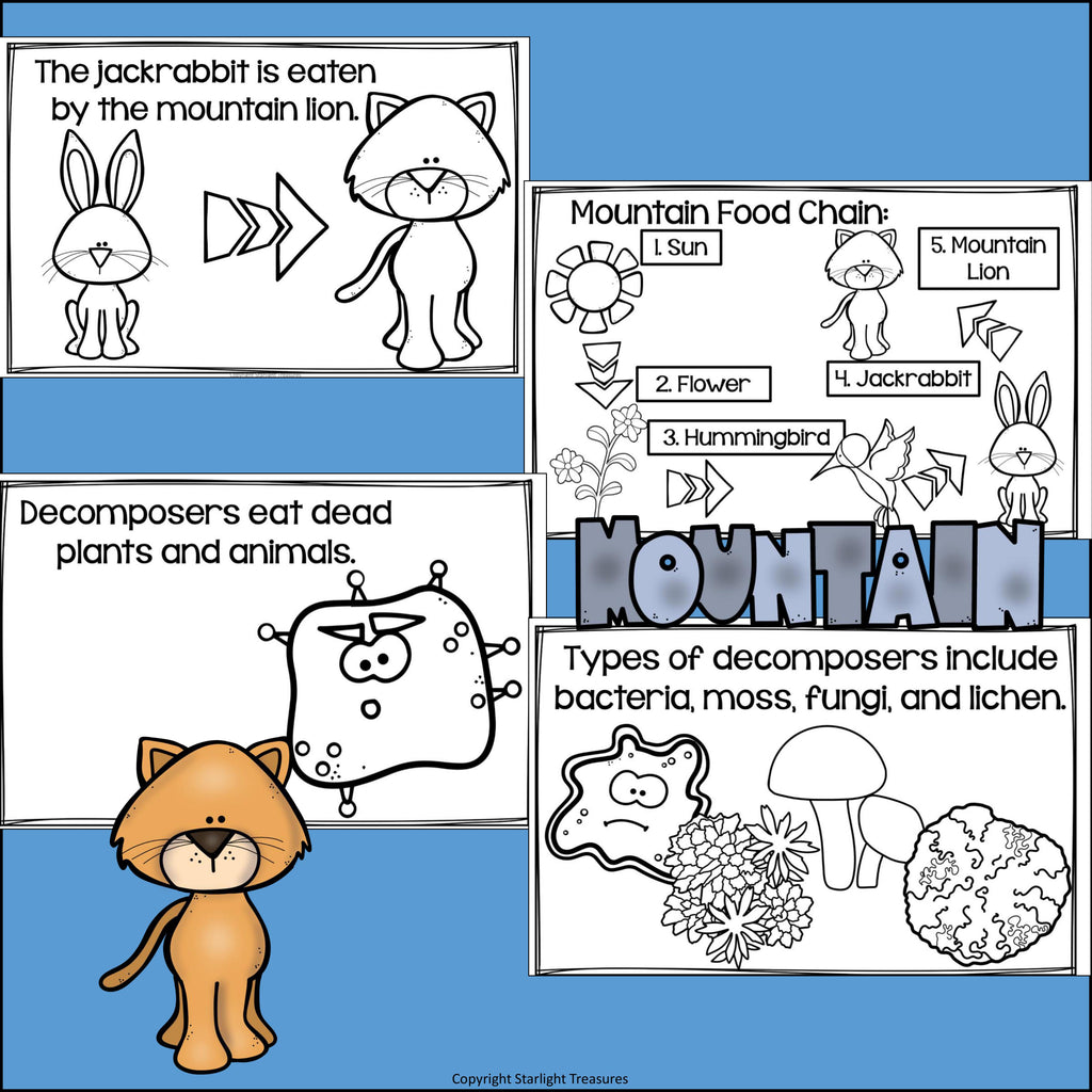 Mountains Food Chain Mini Book for Early Readers - Food Chains