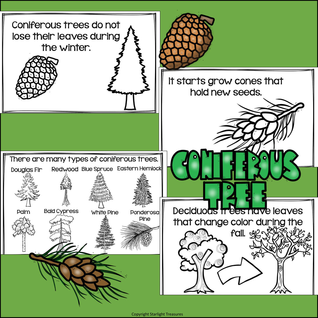 Trees Mini Book for Early Readers