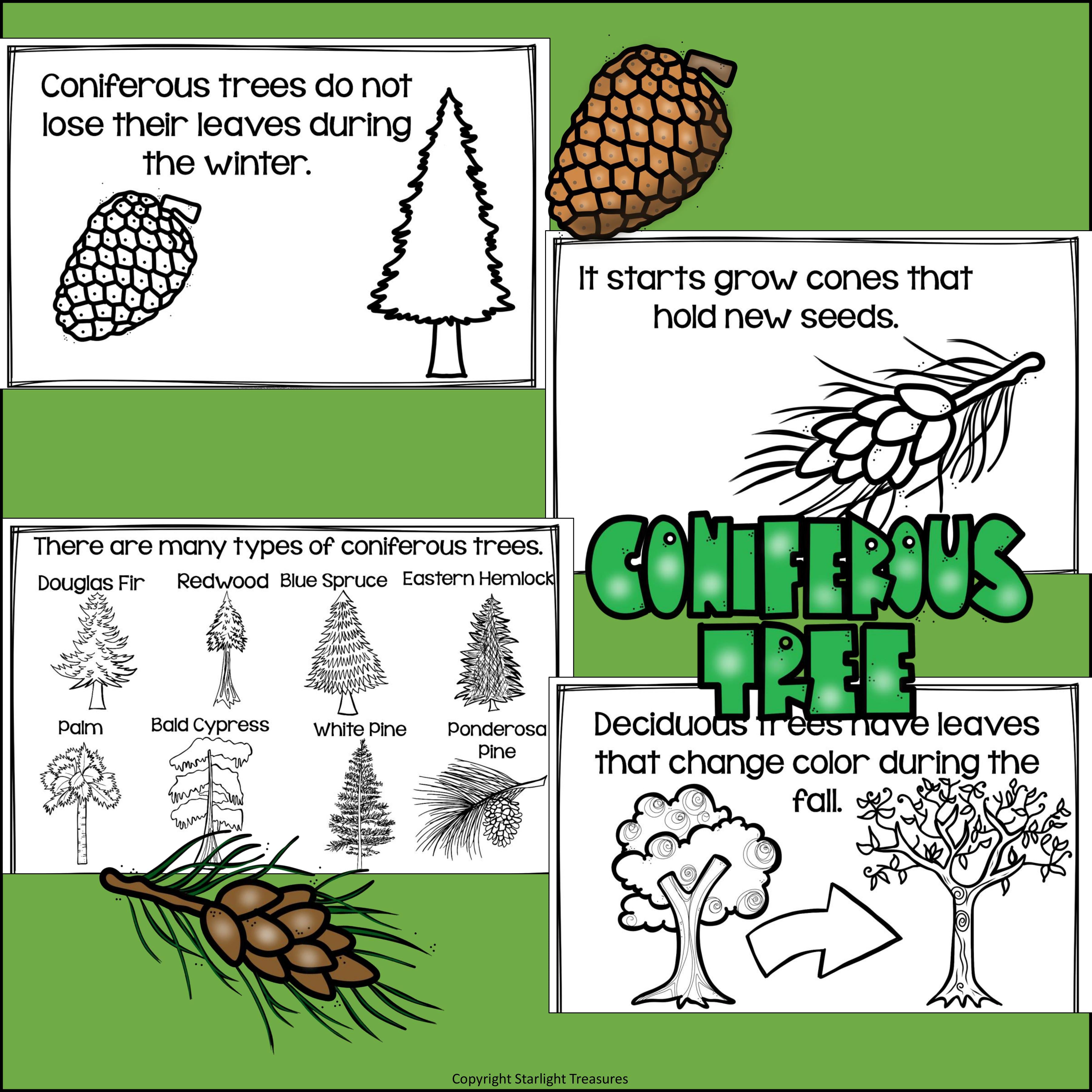 Trees Mini Book for Early Readers