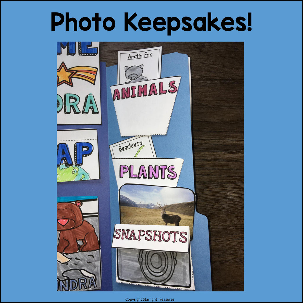 Tundra Lapbook for Early Learners - Animal Habitats