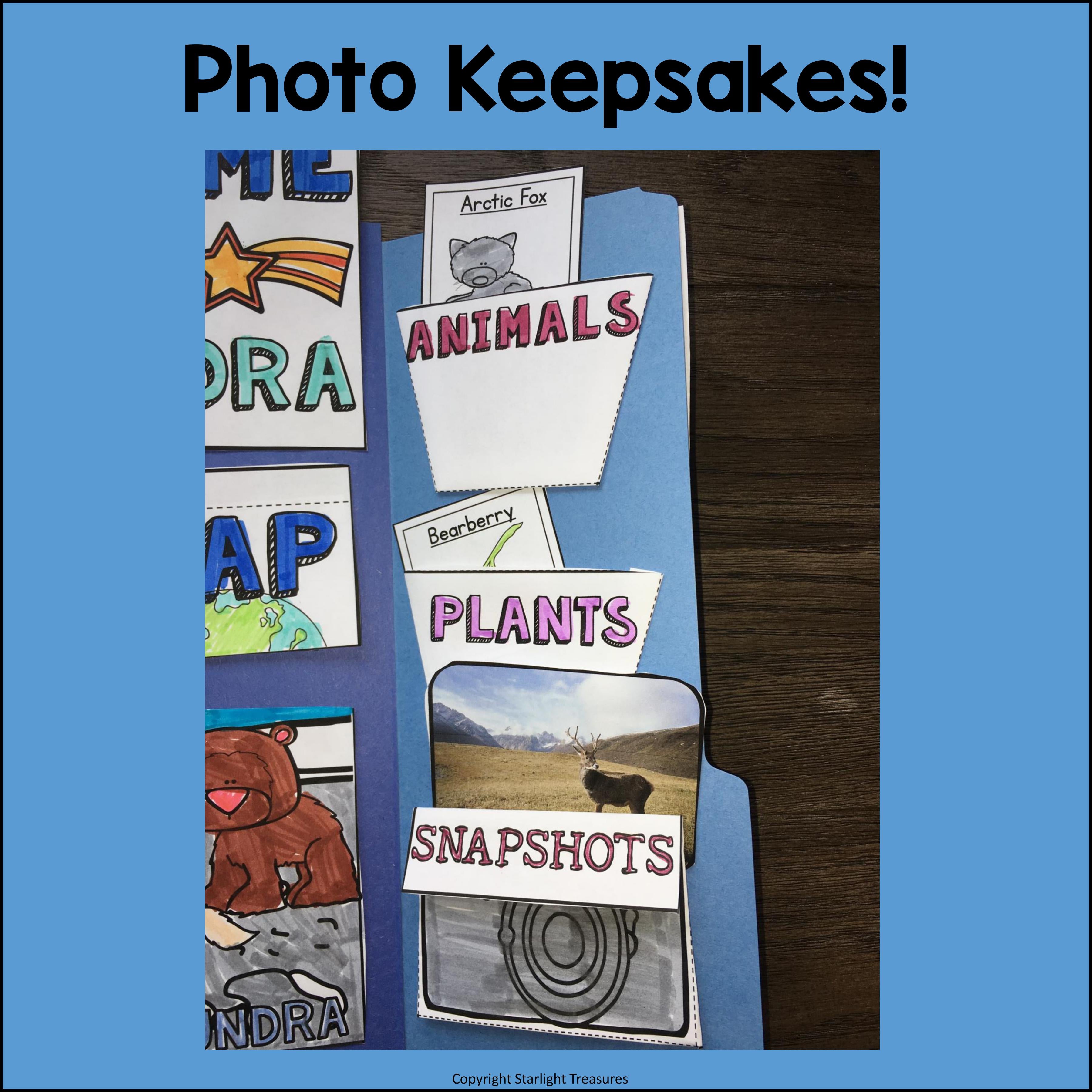 Tundra Lapbook for Early Learners - Animal Habitats