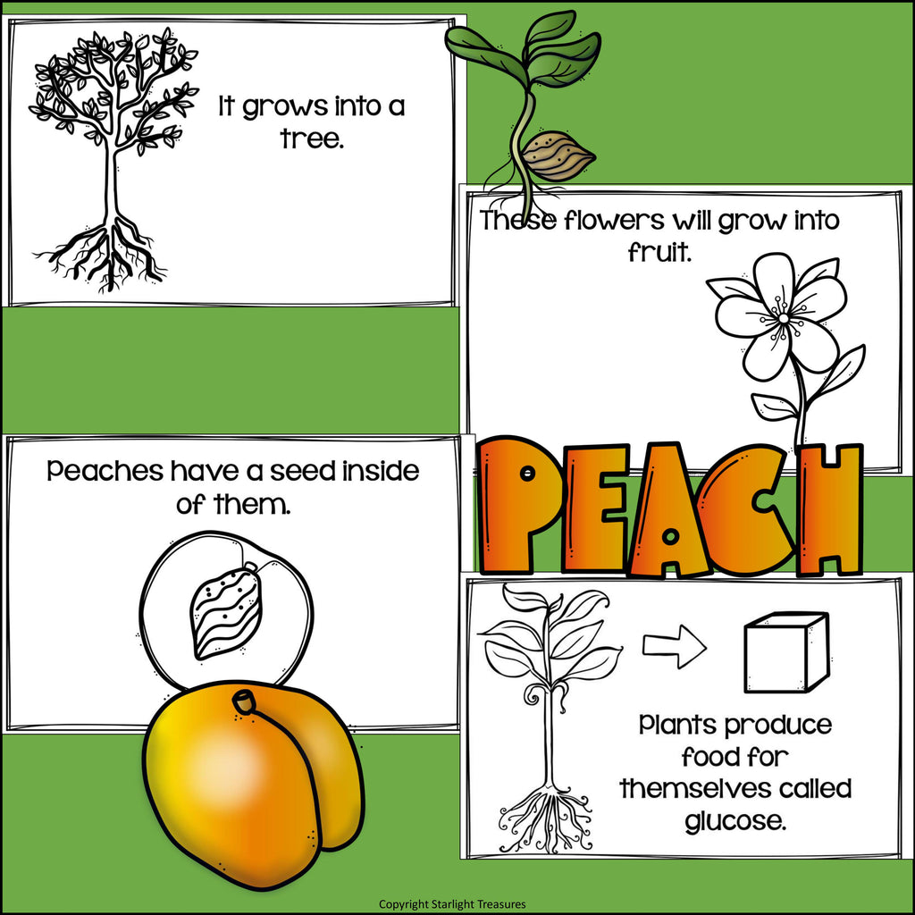 Peach Mini Book for Early Readers