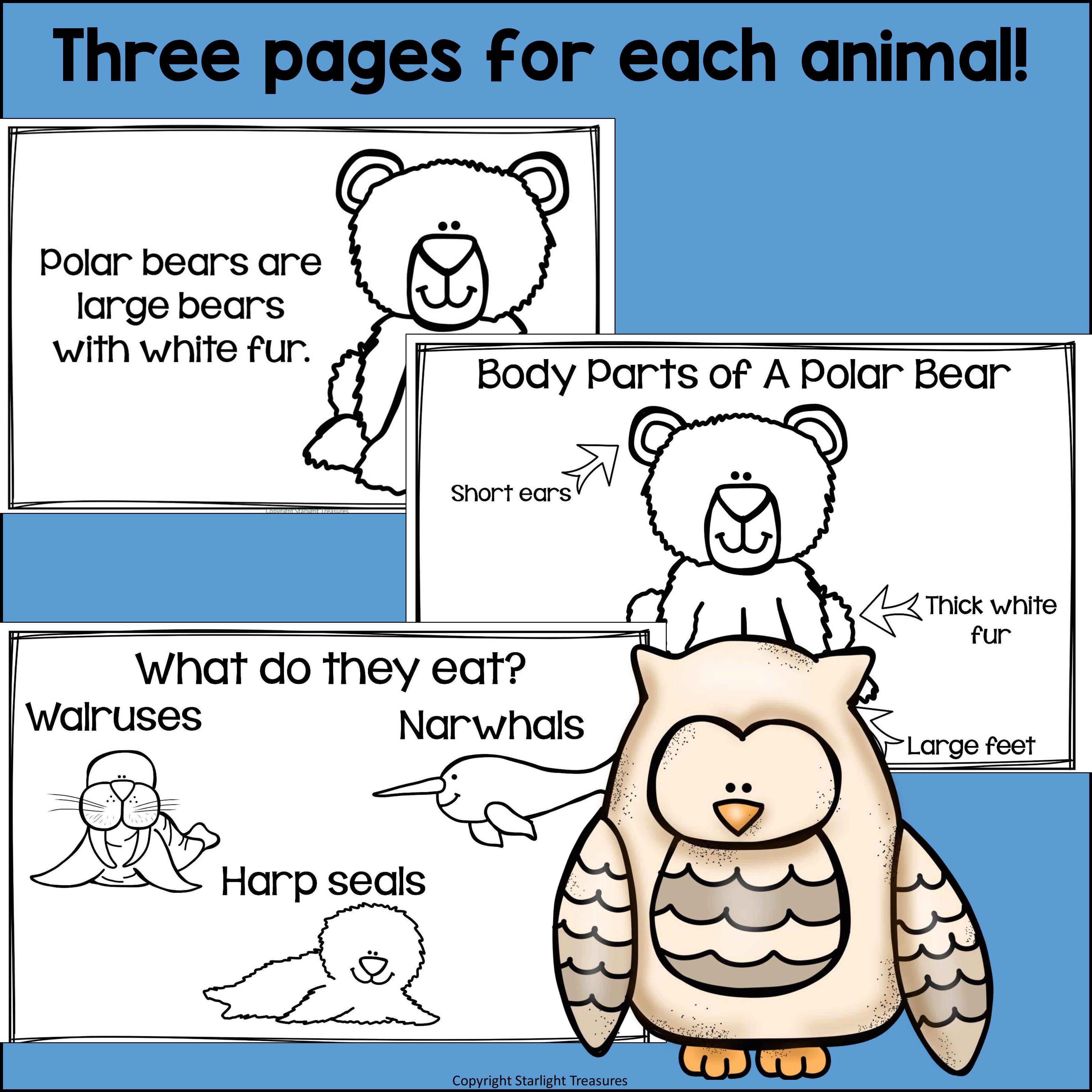 The Arctic Mini Book for Early Readers: Arctic Animals