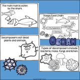Ocean Food Chain Mini Book for Early Readers - Food Chains