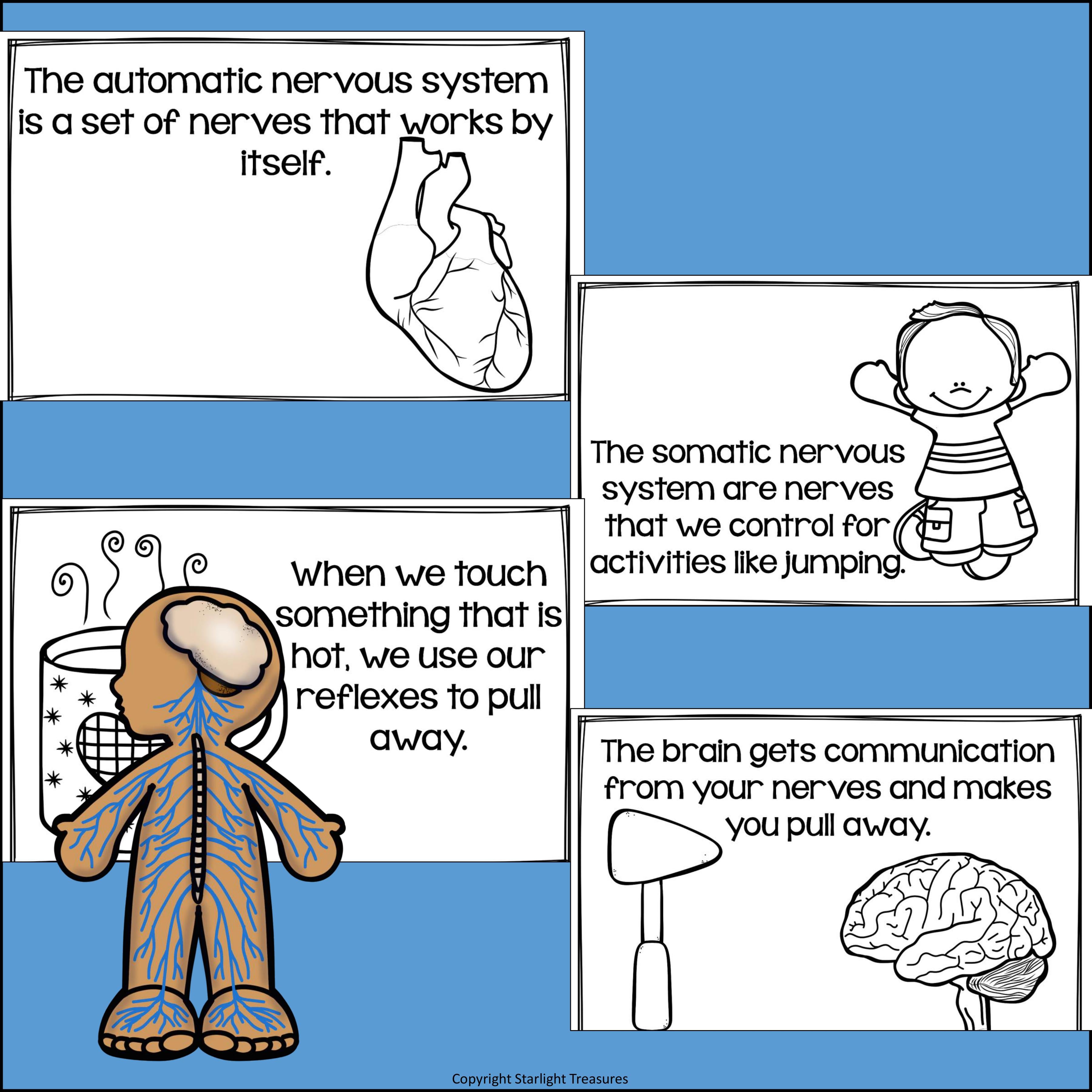 Human Body Systems: Nervous System Mini Book for Early Readers