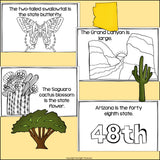 Arizona Mini Book for Early Readers - A State Study