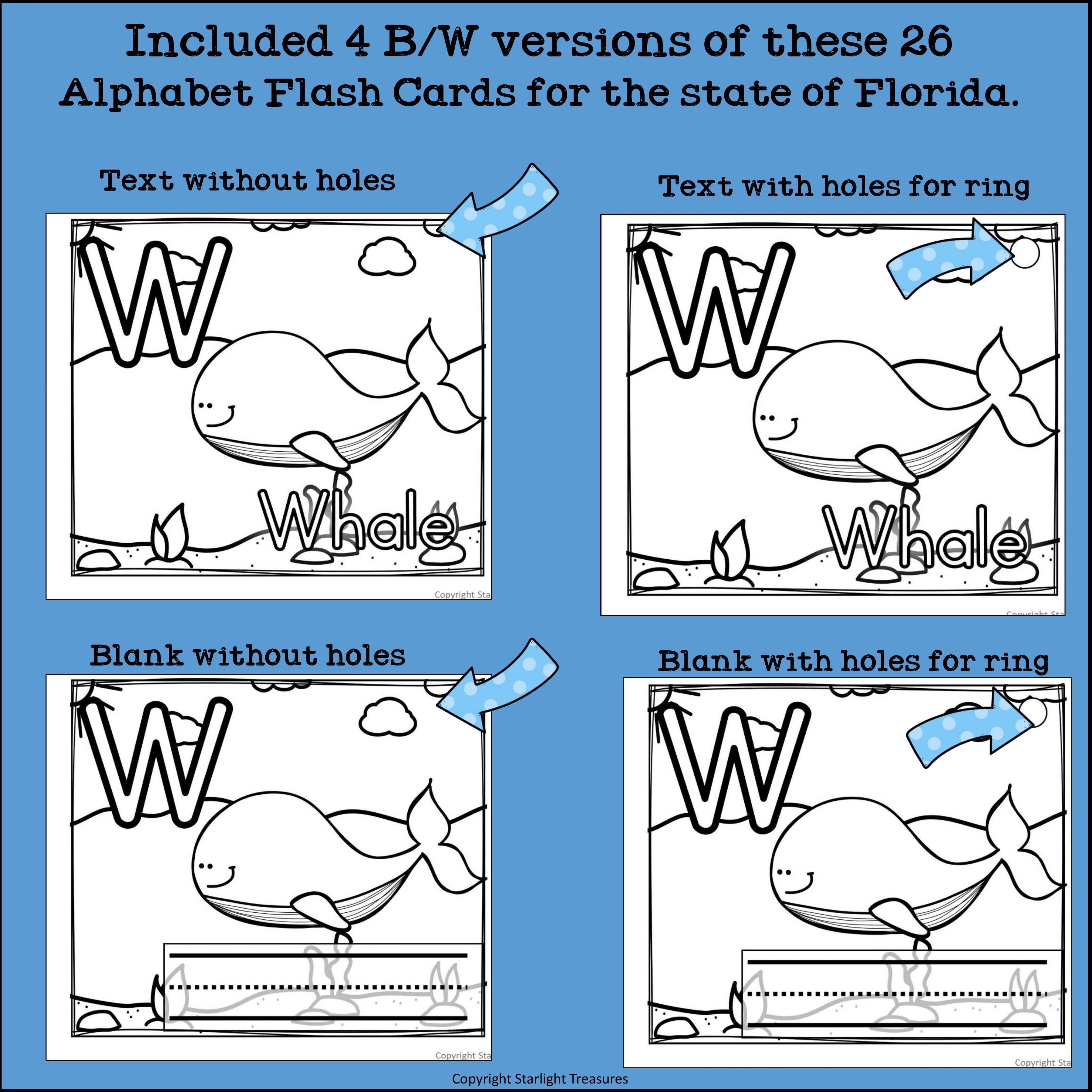 Florida Flash Cards