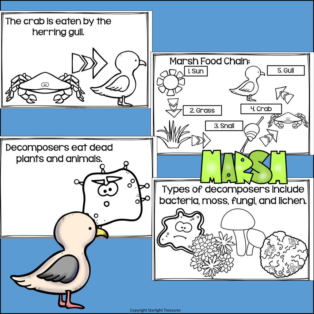 Marsh Food Chain Mini Book for Early Readers - Food Chains