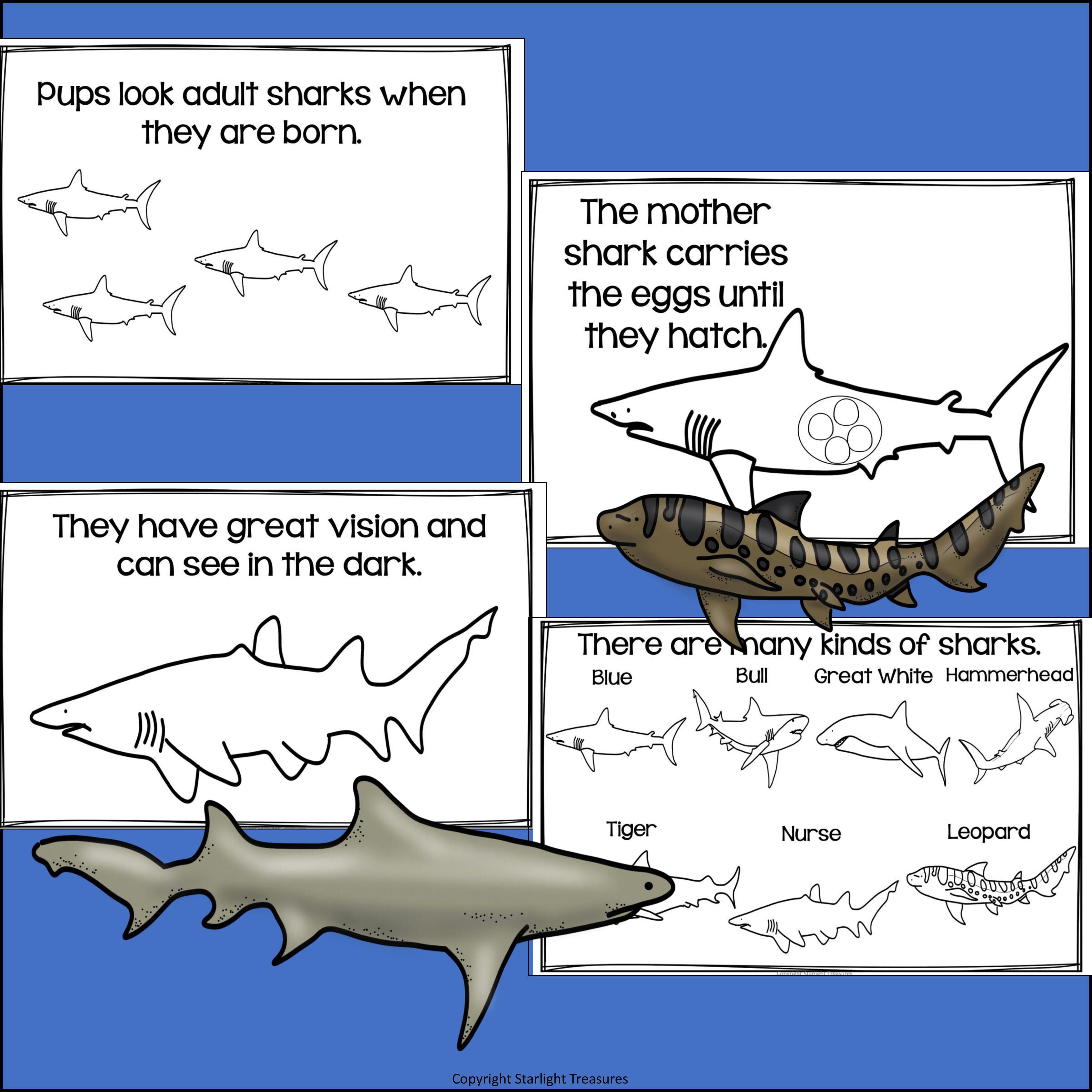 Sharks Mini Book for Early Readers