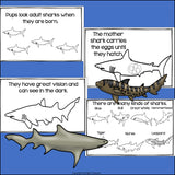 Sharks Mini Book for Early Readers