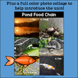 Pond Food Chain Mini Book for Early Readers - Food Chains