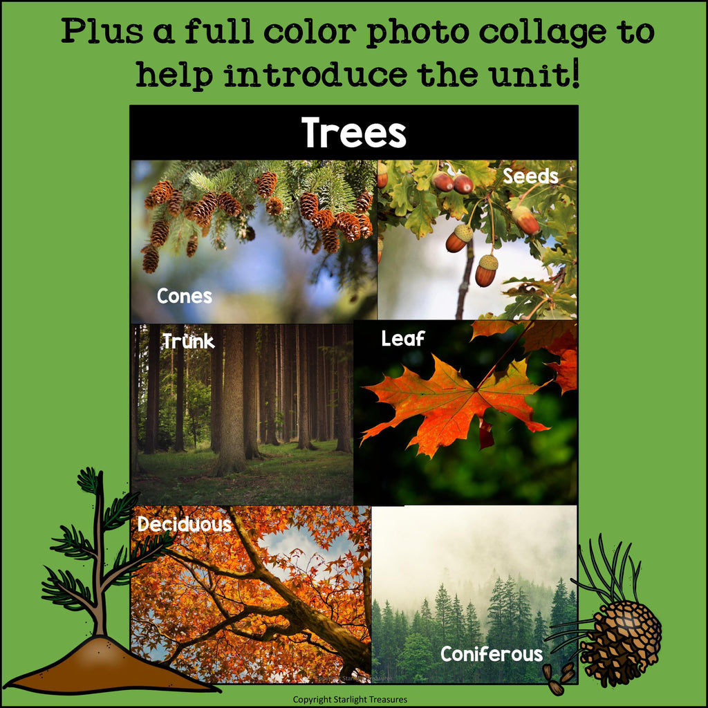 Trees Mini Book for Early Readers