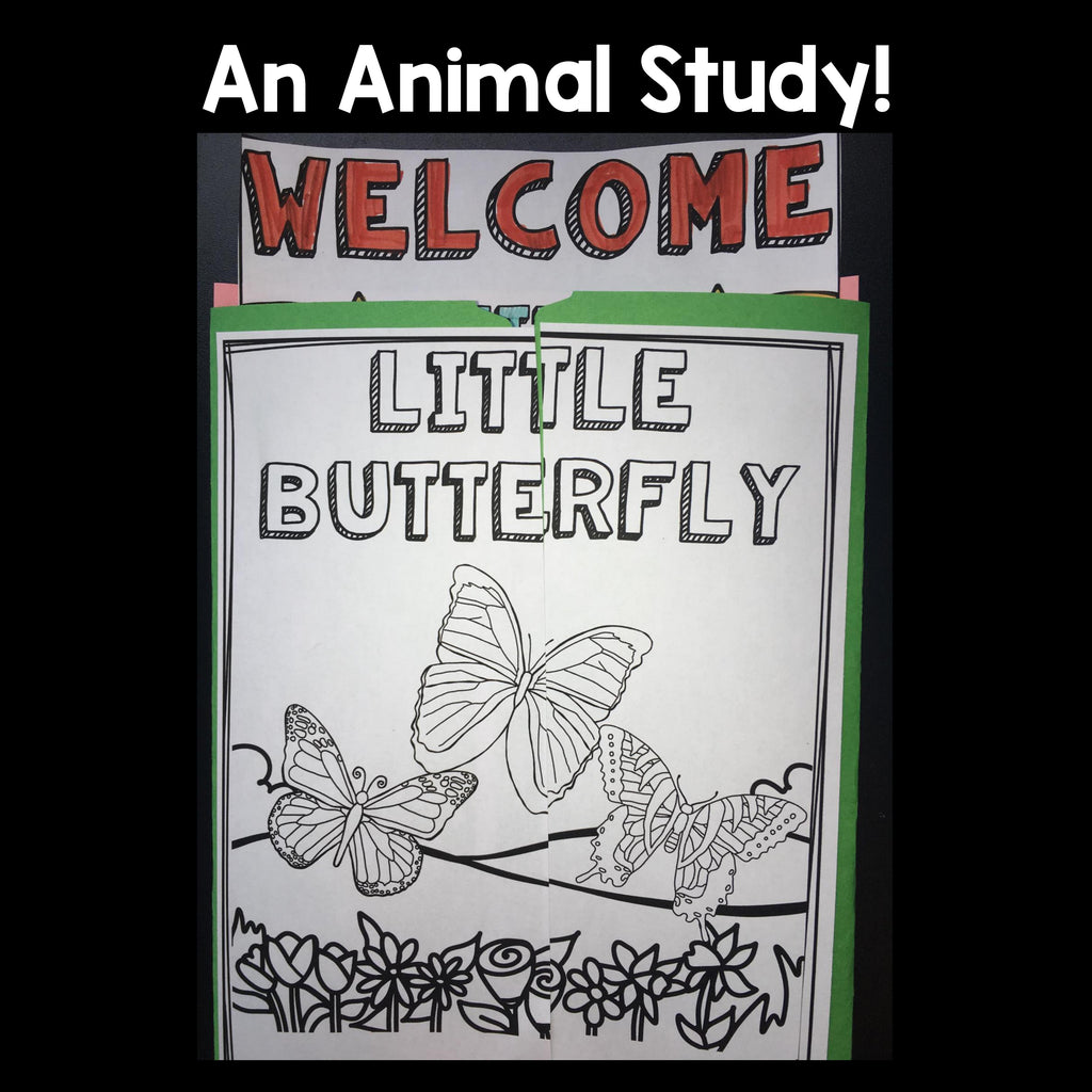 Butterflies Lapbook for Early Learners 