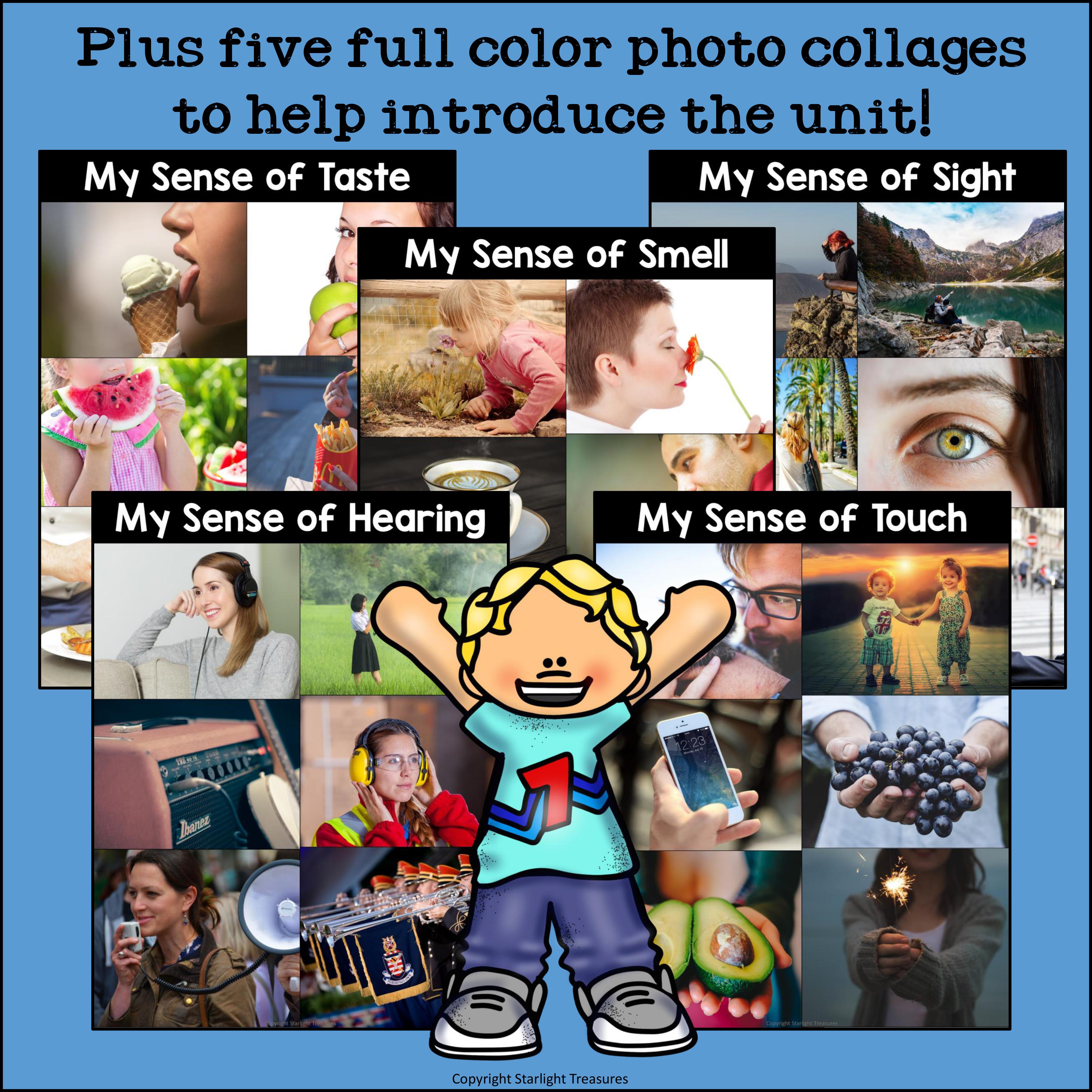 Five Senses Mini Book for Early Readers