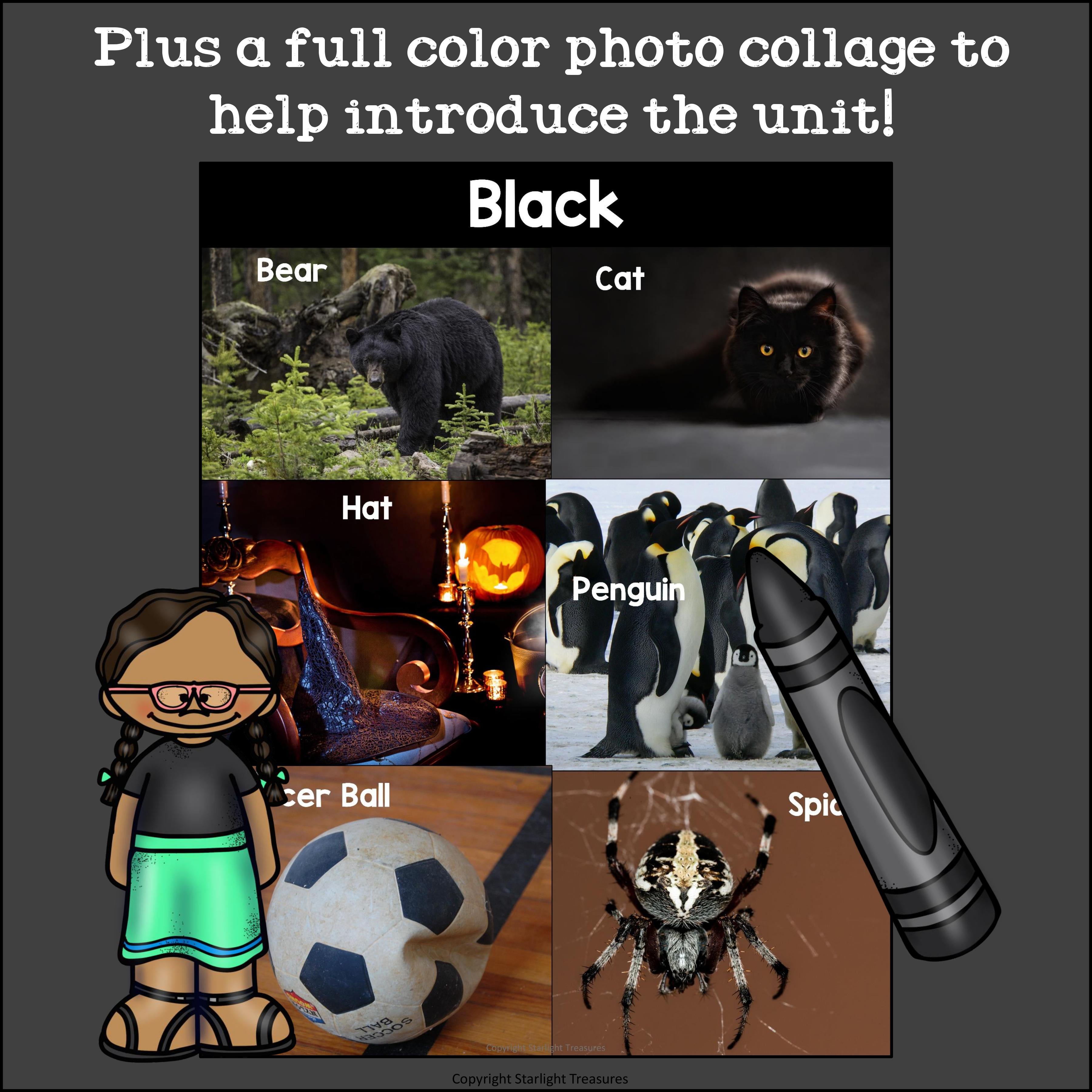 Colors of the Week: Black Mini Book