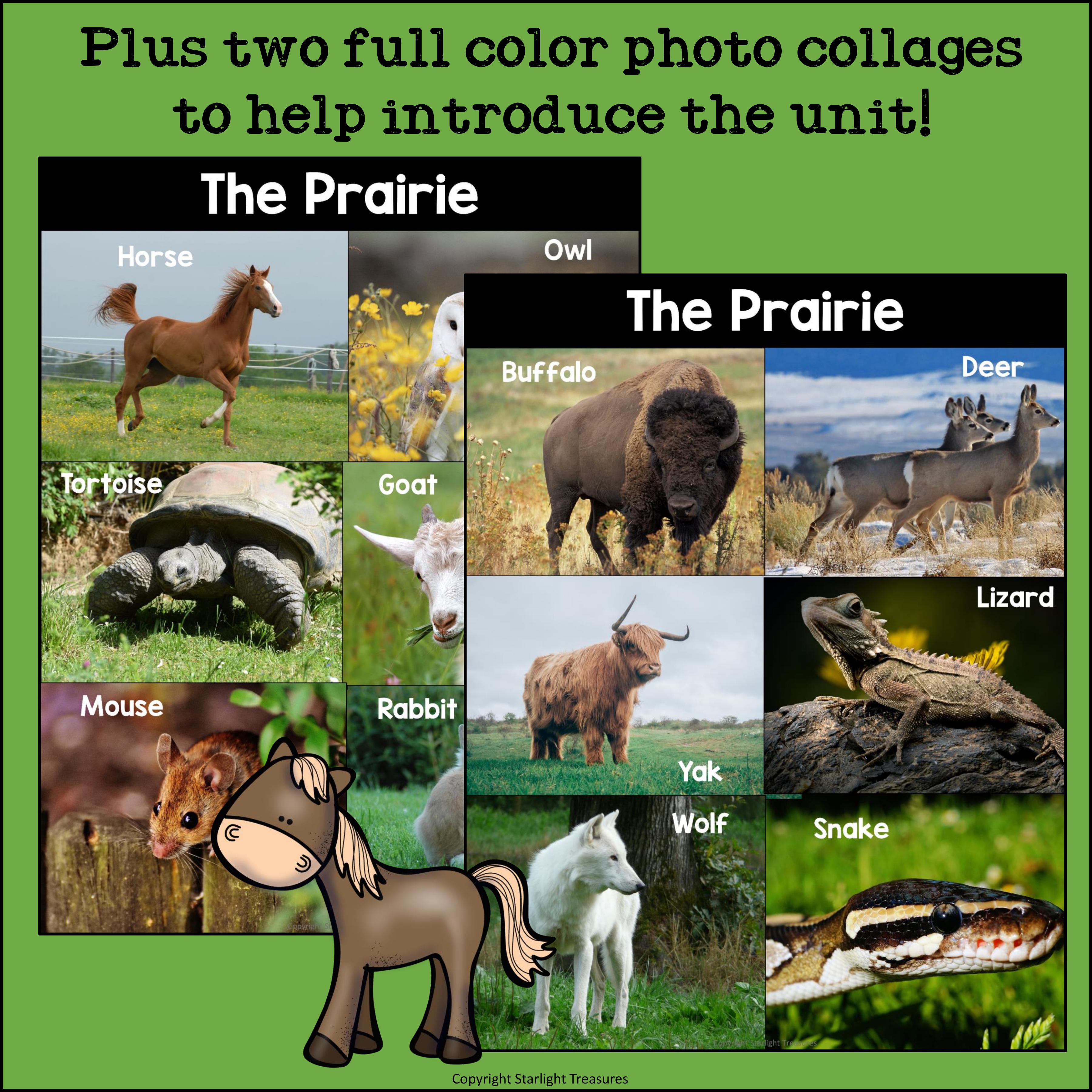 The Prairie Mini Book for Early Readers: Prairie Animals