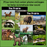 The Prairie Mini Book for Early Readers: Prairie Animals