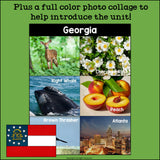 Georgia Mini Book for Early Readers - A State Study
