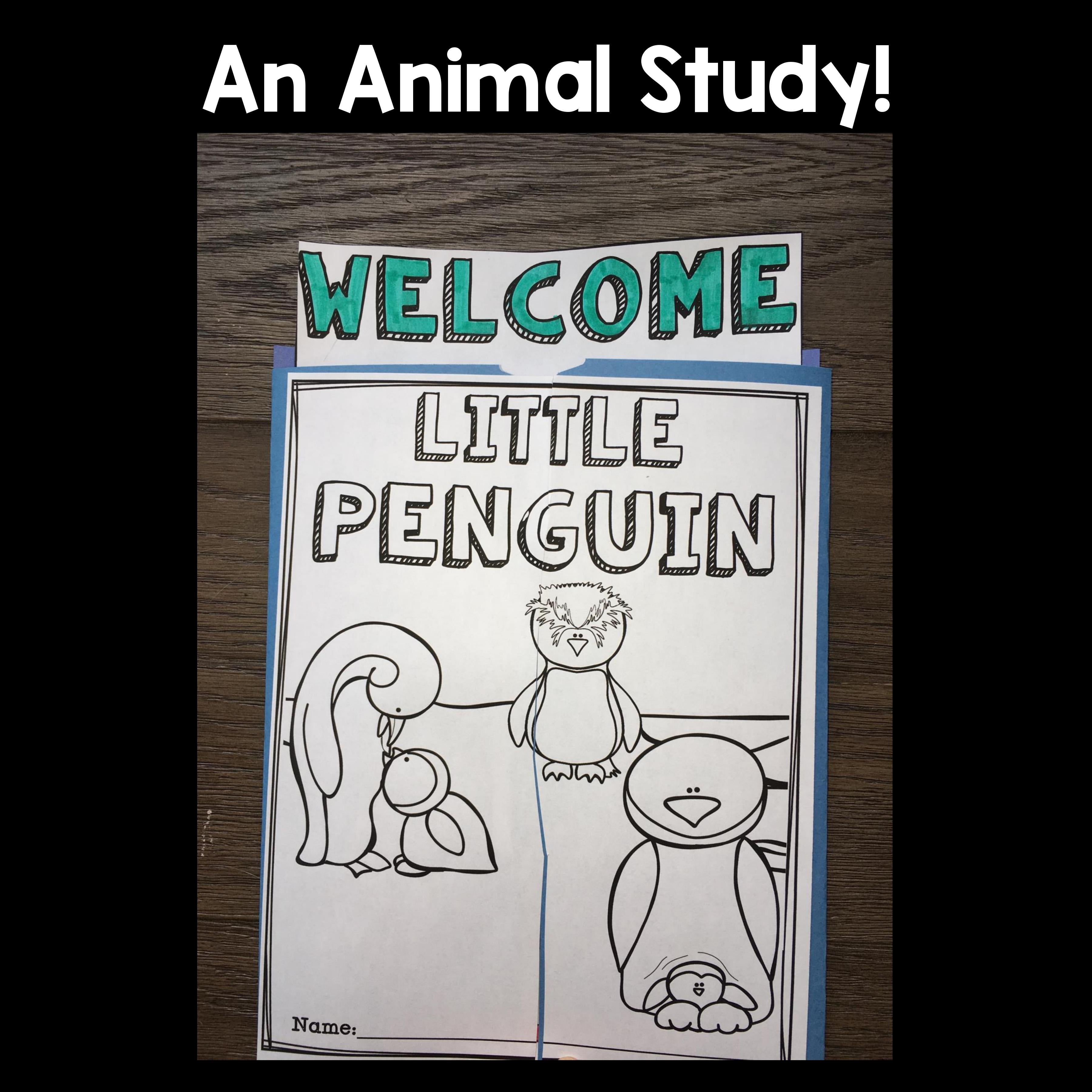 Penguins Lapbook for Early Learners 