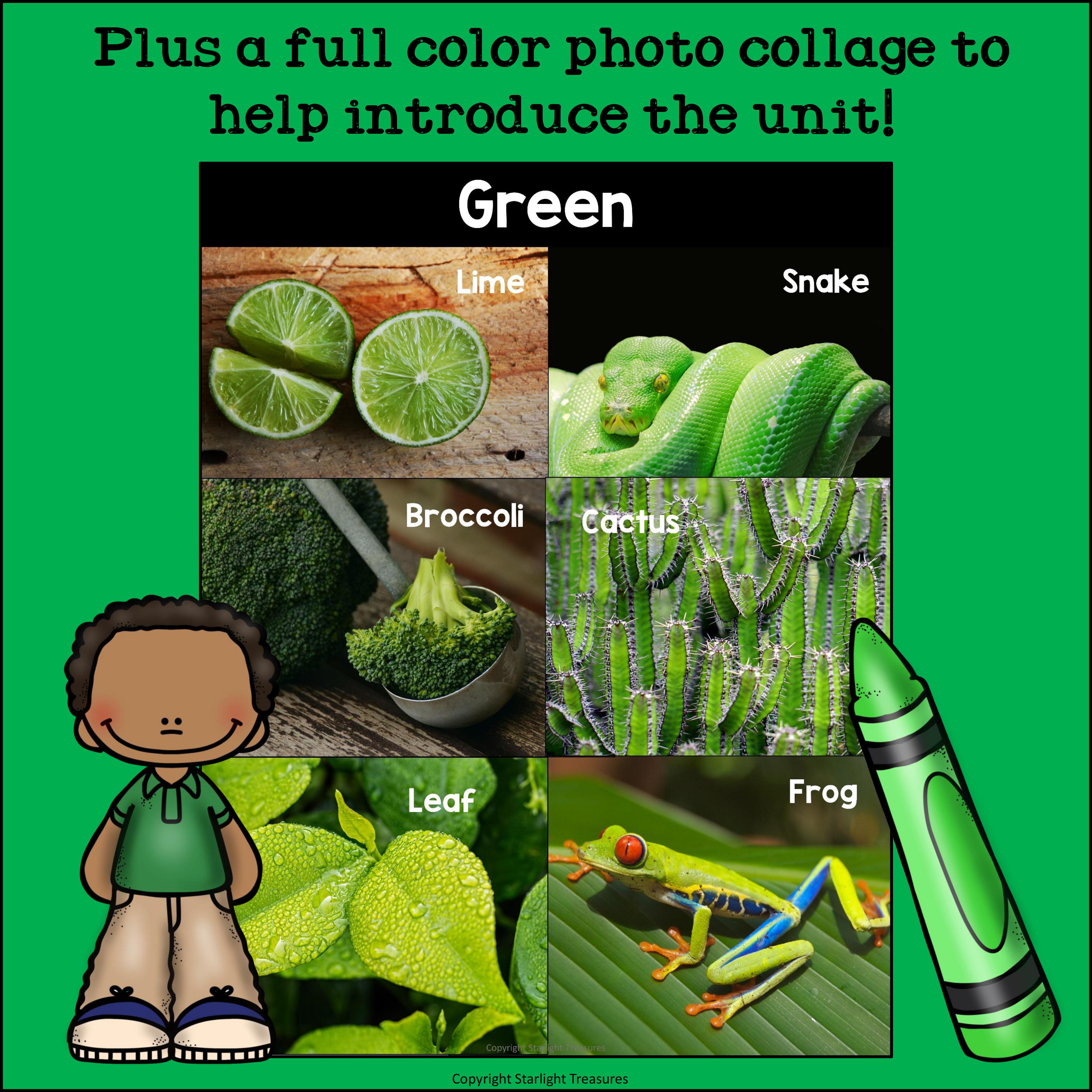 Colors of the Week: Green Mini Book